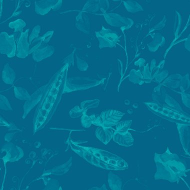 Bezelye meyvesi çiçek dalları bırakır. El çizimi suluboya çizimi. Yemek menüsü. Sebze bahçesi hasadı. Doğal ürünler. Kusursuz babalık geçmişi.