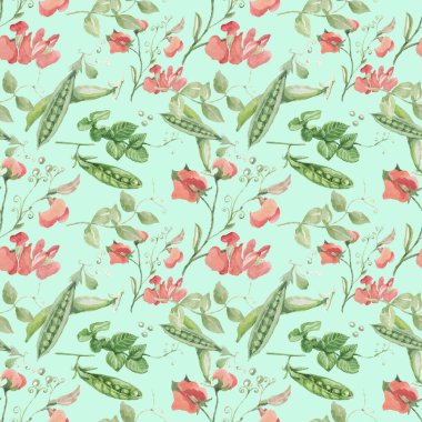 Bezelye meyvesi çiçek dalları bırakır. El çizimi suluboya çizimi. Yemek menüsü. Sebze bahçesi hasadı. Doğal ürünler. Kusursuz babalık geçmişi.