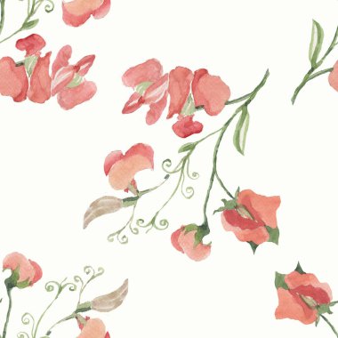 Bezelye meyvesi çiçek dalları bırakır. El çizimi suluboya çizimi. Yemek menüsü. Sebze bahçesi hasadı. Doğal ürünler. Kusursuz babalık geçmişi.