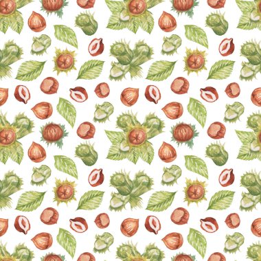 Fındık. El çizimi suluboya çizimi. Sağlıklı yiyecekler doğal ürünler vitaminler. Çizim yazdırma tekniksiz patern seti