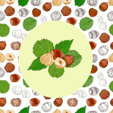 Fındık. El çizimi çizimi. Sağlıklı yiyecekler doğal ürünler vitaminler. Çizim yazdırma tekniksiz patern seti