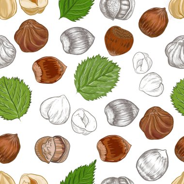 Fındık. El çizimi çizimi. Sağlıklı yiyecekler doğal ürünler vitaminler. Çizim yazdırma tekniksiz patern seti