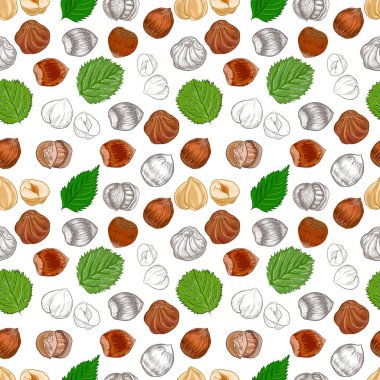 Fındık. El çizimi çizimi. Sağlıklı yiyecekler doğal ürünler vitaminler. Çizim yazdırma tekniksiz patern seti