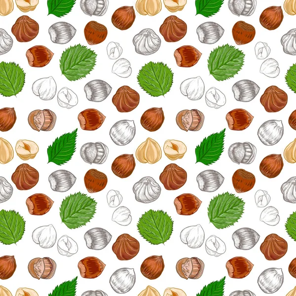 Fındık. El çizimi çizimi. Sağlıklı yiyecekler doğal ürünler vitaminler. Çizim yazdırma tekniksiz patern seti