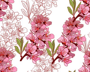 Badem çiçekleri elle çizilmiş renkler. Arkaplan çizimi pembe renk. Çiçek açan çiçek açan çiçek kartpostalı. Doğa baskısı. Tekstil kusursuz.