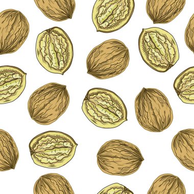 Cevizler elle çizilmiş. Doğal ürün vejetaryenliği. Eskiz baskısı tekstil mahsulü bitkiler. Babasız hasat.