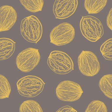 Cevizler elle çizilmiş. Doğal ürün vejetaryenliği. Eskiz baskısı tekstil mahsulü bitkiler. Babasız hasat.