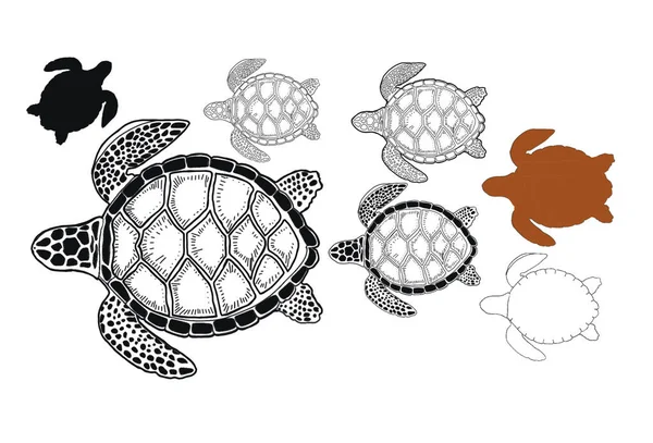 Tortue Mer Océan Croquis Croquis Silhouette Dessin Main Imprimé Textile — Photo