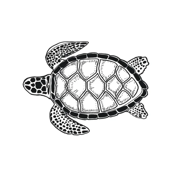 Turtle Sea Ocean Doodle Sketch Silhouette Hand Drawn Print Textile — Stock Photo, Image