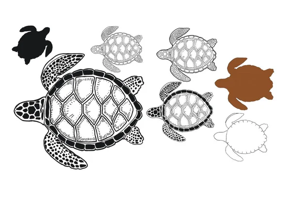 Schildpad Zee Oceaan Doodle Schets Silhouet Met Hand Getekend Print — Stockfoto