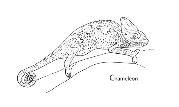 Chameleon แปลกใหม อวาดเขาวงกตเกมส าหร บเด กษรและหน กษร — ภาพถ่ายสต็อก