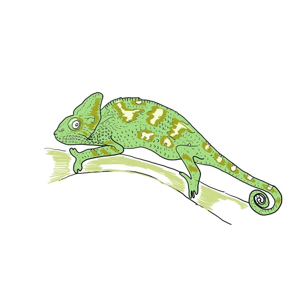 Kameleont Djur Exotiska Handritade Färg Spel Labyrint För Barn Med — Stockfoto