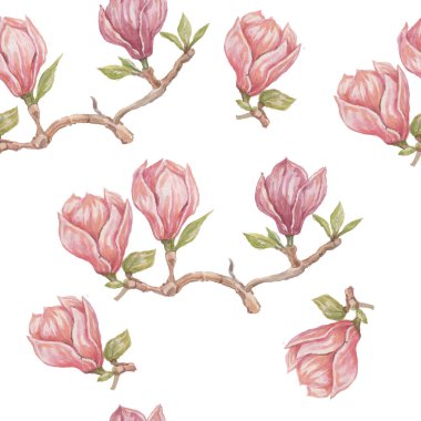 Magnolia flower flowers bright exotic watercolor hand drawn print patern seamless set nature flowering branches and leaves flora botany