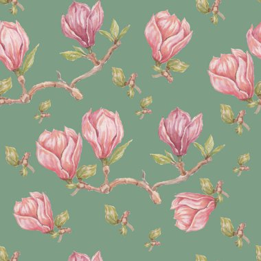 Magnolia flower flowers bright exotic watercolor hand drawn print patern seamless set nature flowering branches and leaves flora botany