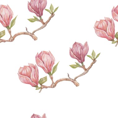 Magnolia flower flowers bright exotic watercolor hand drawn print patern seamless set nature flowering branches and leaves flora botany