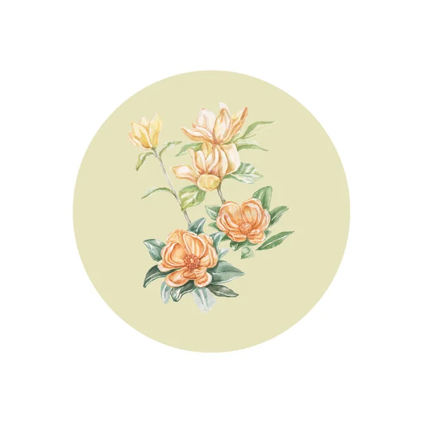 Magnolia Virág Virágok Fényes Egzotikus Akvarell Kézzel Rajzolt Nyomtatott Patern — Stock Fotó