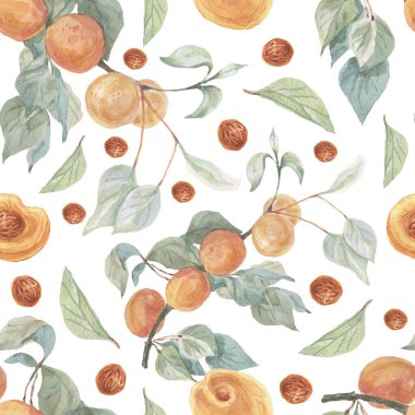 Meyve kayısı suluboya resimli el çizimi kusursuz desen çizer. Tekstil gerçekçi bahçe hasat meyve suyu sağlıklı yiyecekler, vitaminler, vejetaryenlik.