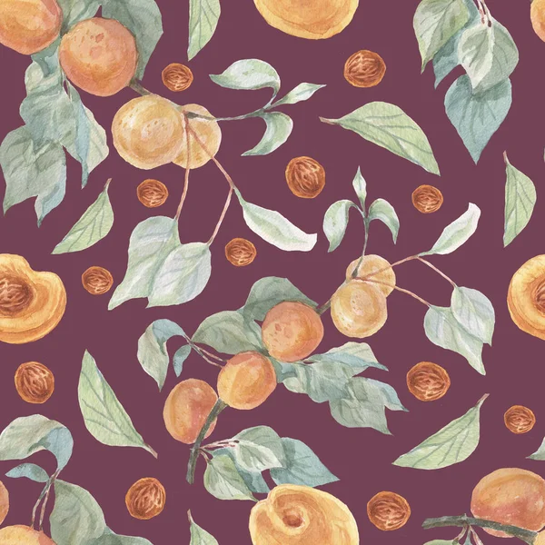 Albaricoques Fruta Acuarela Ilustración Dibujado Mano Patrón Sin Costura Imprimir —  Fotos de Stock