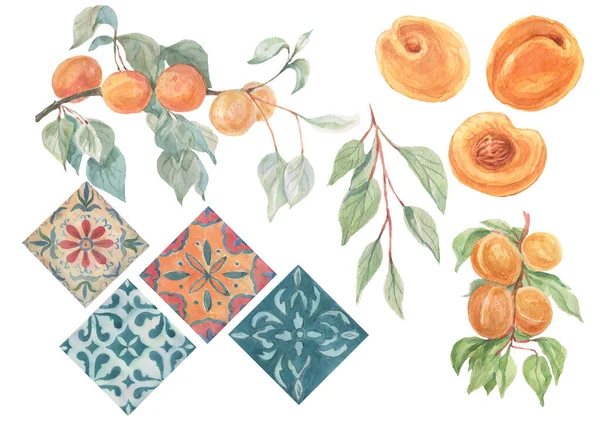 Owoce Morele Płytka Ceramiczny Orientalny Wzór Azulejo Portugalski Zestaw Akwareli — Zdjęcie stockowe
