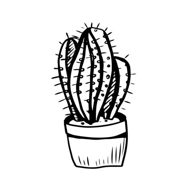 Cacti Scandinavische Stijl Grafische Vector Illustratie Met Hand Getekend Doodle — Stockvector