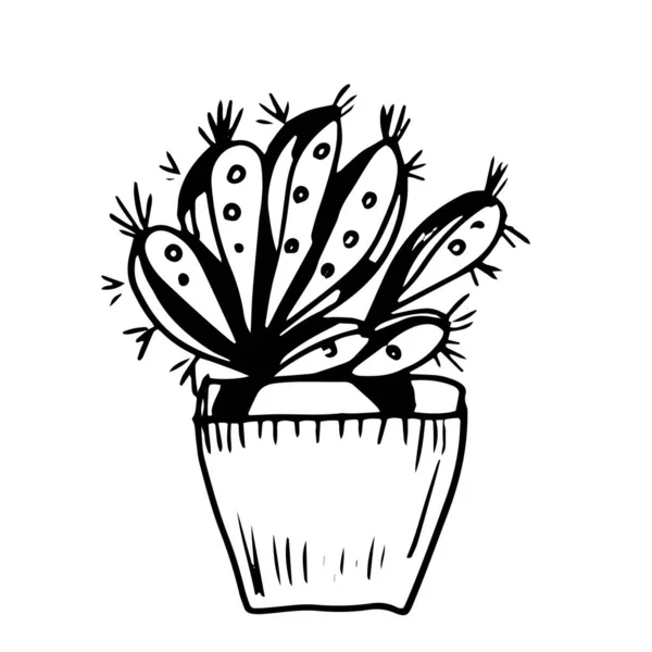 Ilustrasi Vektor Grafik Gaya Cacti Scandinavia Membuat Sketsa Doodle Set - Stok Vektor