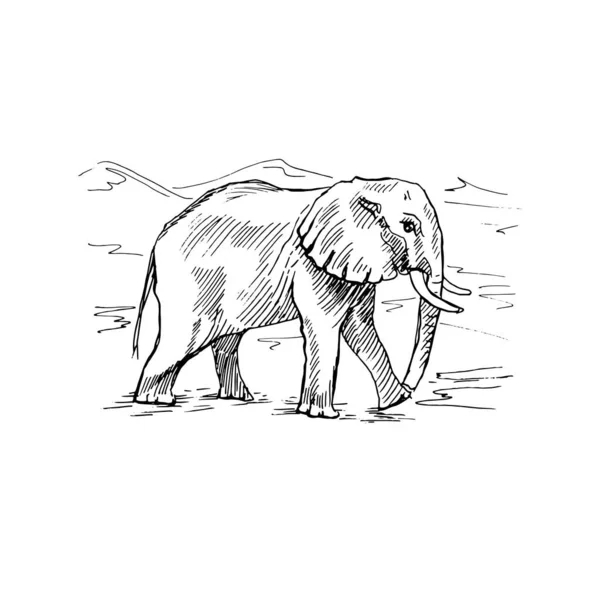 Éléphants Afrique Savane Croquis Gribouillage Dessiné Main Paterne Tissu Imprimé — Image vectorielle