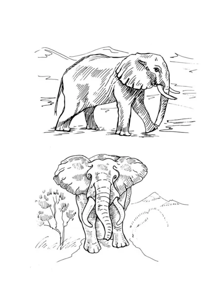 Éléphants Afrique Savane Croquis Gribouillage Dessiné Main Paterne Tissu Imprimé — Image vectorielle