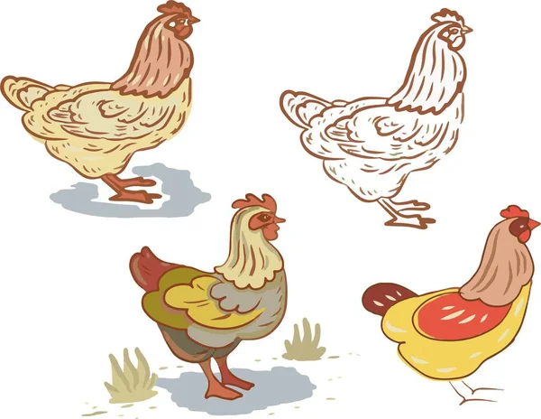 Ptáci Domácí Farmy Kuřata Kachny Kohouti Krůty Vektorové Grafické Ilustrace — Stockový vektor