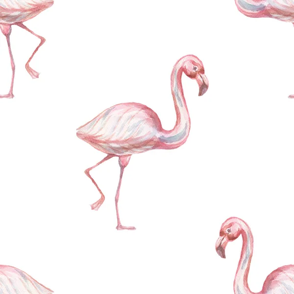 Hayvanlar Çizgi Film Flamingo Kuşları Sevimli Skandinav Tarzı Elle Çizilmiş — Stok fotoğraf