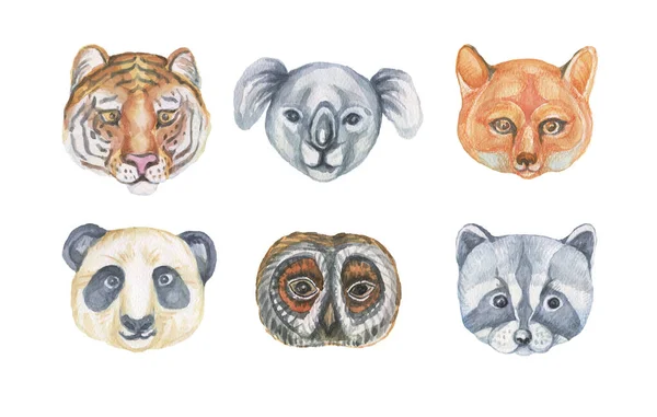 Animali Cartone Animato Carino Jaguar Koala Tigre Panda Fenicottero Gufo — Foto Stock
