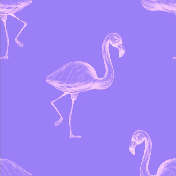 Dieren Cartoon Flamingo Vogels Schattig Scandinavische Stijl Handgetekende Illustratie Van — Stockfoto