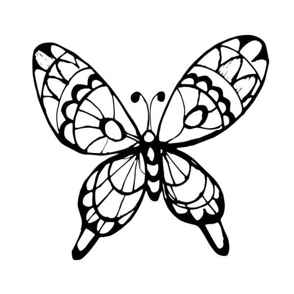 Farfalle Insetti Illustrazione Grafica Disegnato Mano Vettore Scarabocchio Schizzo Animali — Vettoriale Stock