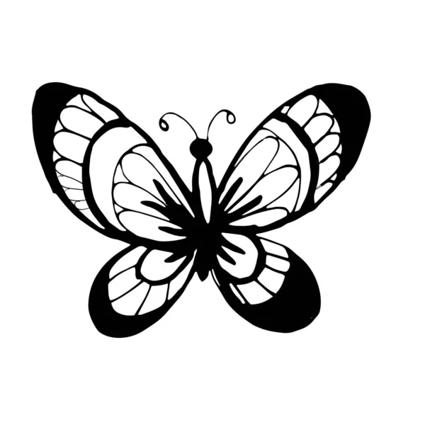 Butterflies insects graphic illustration hand-drawn vector doodle sketch. nature animals wings in flight