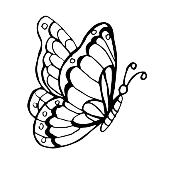 Kelebekler Grafik Çizimi Çizimi Vektör Karalama Skeci Doğanın Kanatları Uçuyor — Stok Vektör