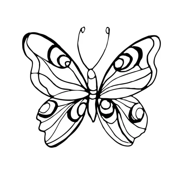 Butterflies Insects Graphic Illustration Hand Drawn Vector Doodle Sketch Nature — Stock Vector