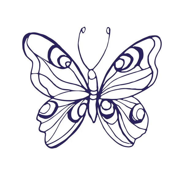 Бабочки Насекомые Графическая Иллюстрация Ручной Рисованной Векторной Каракули Крылья Природы — стоковый вектор