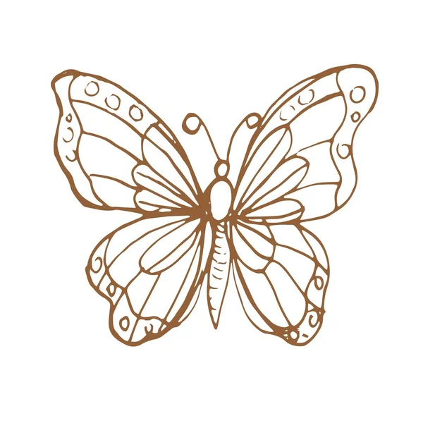 Mariposas Insectos Ilustración Gráfica Dibujado Mano Vector Garabato Boceto Naturaleza — Archivo Imágenes Vectoriales