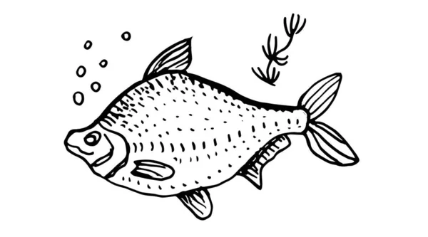 Fisch Meeresfrüchte Grafik Vektor Doodle Skizze Drucken Textile Illustration Handgezeichnete — Stockvektor