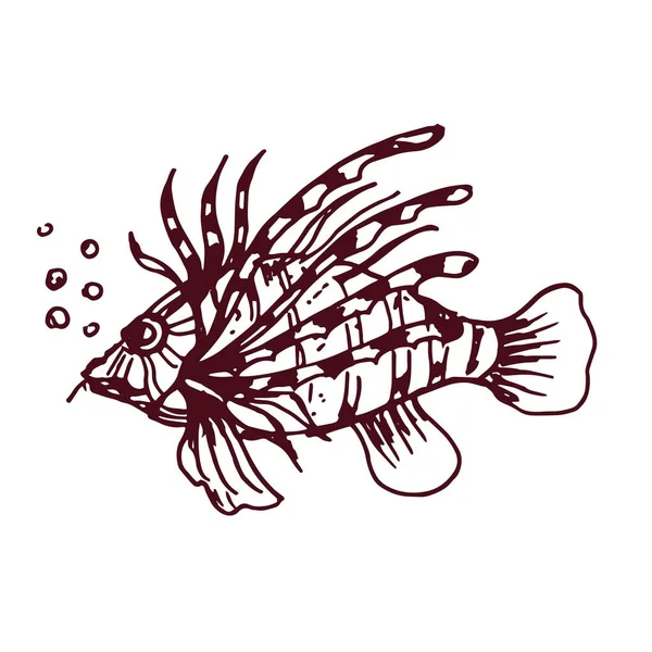 Ψάρια Θαλασσινά Γραφικά Διάνυσμα Σκίτσο Doodle Εκτύπωση Υφασμάτινη Απεικόνιση Ζωγραφισμένα — Διανυσματικό Αρχείο