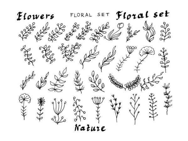 Цветочный набор природных растений вектор цветочных веток. Печать текстильных старинных графических иллюстраций ручной работы. Ботанический цветочный клипарт