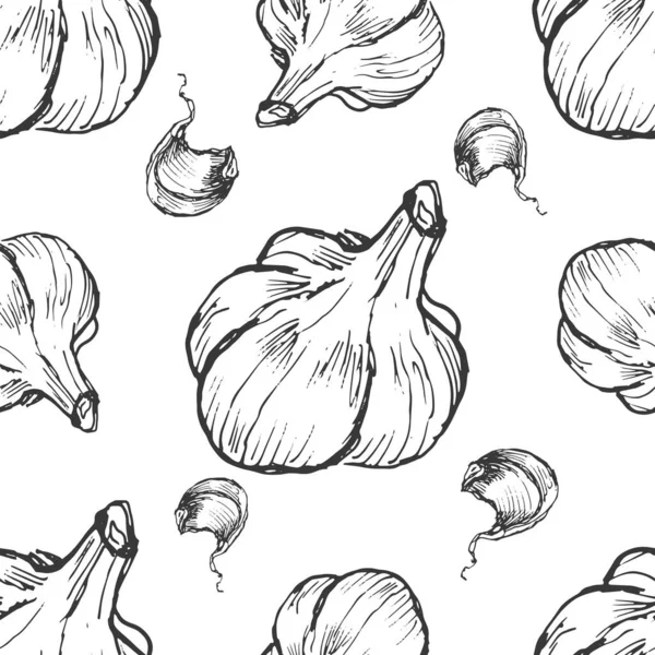 大蒜蔬菜载体图形 素描涂鸦插图手绘印花纺织品 复古家长式无缝带调料调料调料 — 图库矢量图片