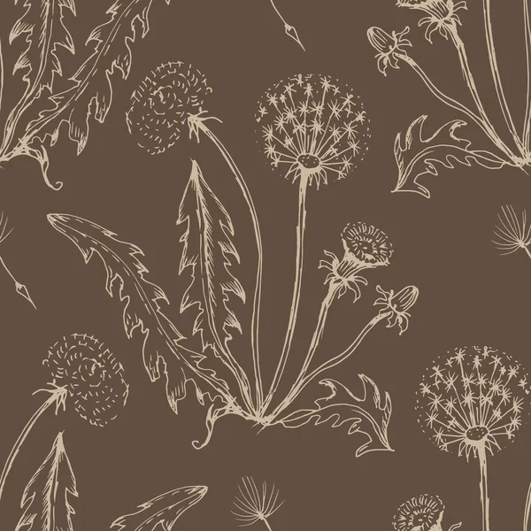 Dandelion Flowers Wildflowers Graphic Vector Hand Drawn Illustration Print Textile — 图库矢量图片