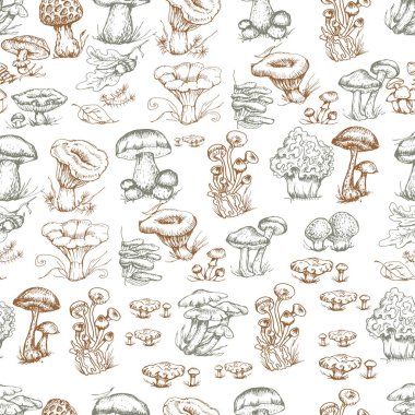 Mantar vektör grafikleri elle çizilmiş. Tekstil illüstrasyon arka planı babasız, renklendirmesiz eski model orman yiyecekleri koleksiyonu