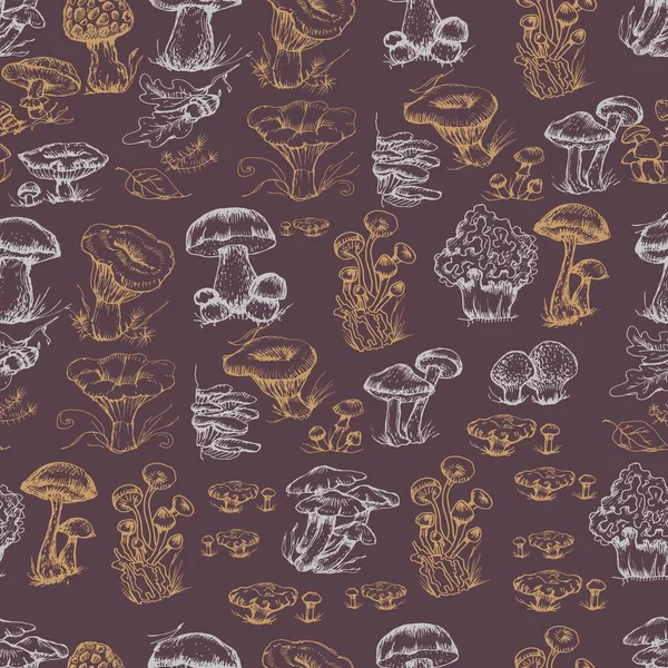Cogumelos Gráficos Vetoriais Desenhados Mão Impressão Têxtil Ilustração Fundo Conjunto —  Vetores de Stock