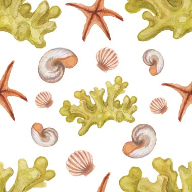 Mercan kabukları deniz seyahati yaz tatili sulu boya desensiz çizim el baskı tekstil antika okyanus mercan resifi su altı yaşam izole elementler beyaz arka plan çizimi okyanus mercan resifi su altı yaşam rengi 