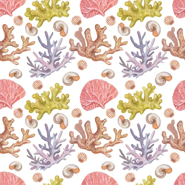 Koraller Skal Havet Resor Sommar Strand Akvarell Sömlös Mönster Illustration — Stockfoto