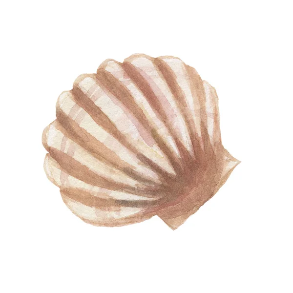 Muscheln Meer Reise Sommer Strand Aquarell Illustration Hand Gezeichnet Druck — Stockfoto