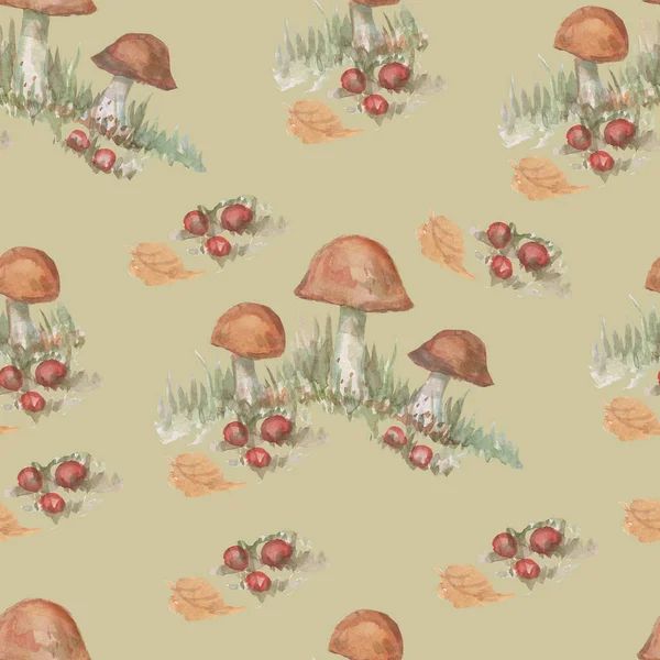 设置蘑菇羊绒森林草本植物水彩画房子和花卉手绘插图 — 图库照片