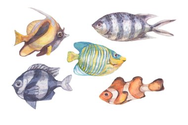 Fish underwater sea ocean corals algae seashells watercolor hand drawn illustration. Prin textile vintage wild nature bright aquarium fish 