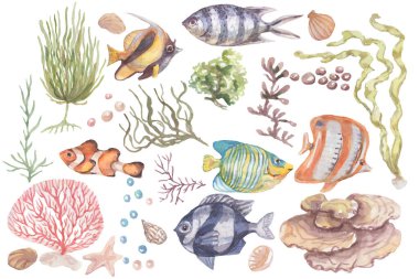Fish underwater sea ocean corals algae seashells watercolor hand drawn illustration. Prin textile vintage wild nature bright aquarium fish 